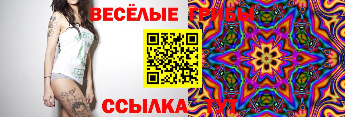 Галлюциногенные грибы Cubensis  Галлюциногенные грибы MAGIC MUSHROOMS  наркотики  Вход с VPN  Слободской 