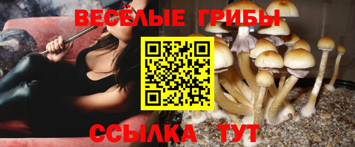 Псилоцибиновые грибы Magic Shrooms Слободской